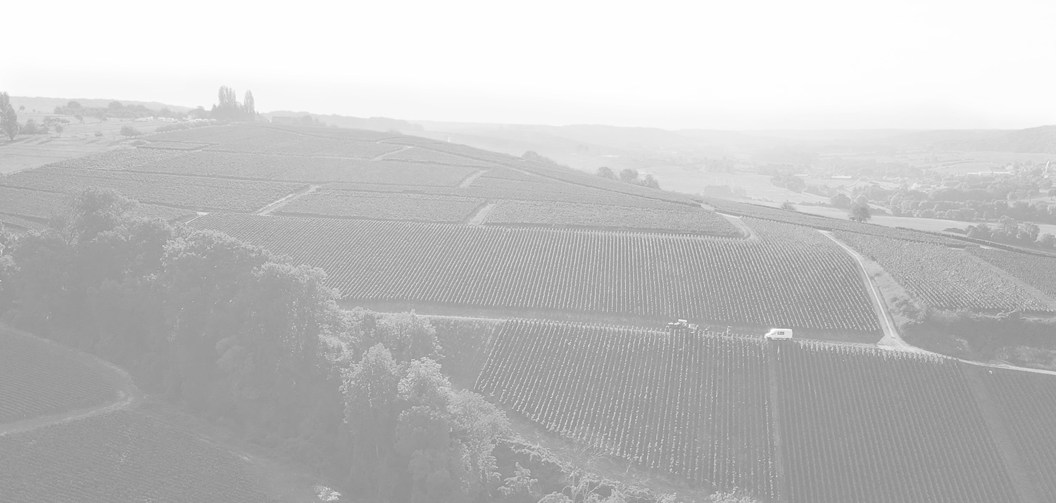 Champagne Pierre Mignon